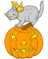 Halloween cats, dogs and bats!