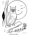 Owl coloring pages